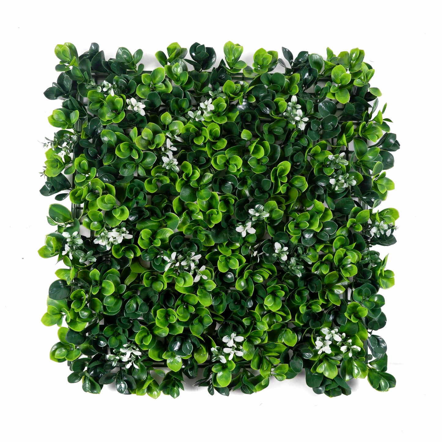 Boxwood Bloom Artificial Green Wall Panel – Dual Green with White Blossoms