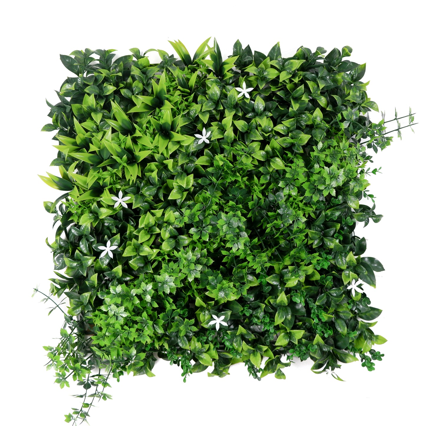 Orange Grove Artificial Green Wall Panel – Autumn Garden Design