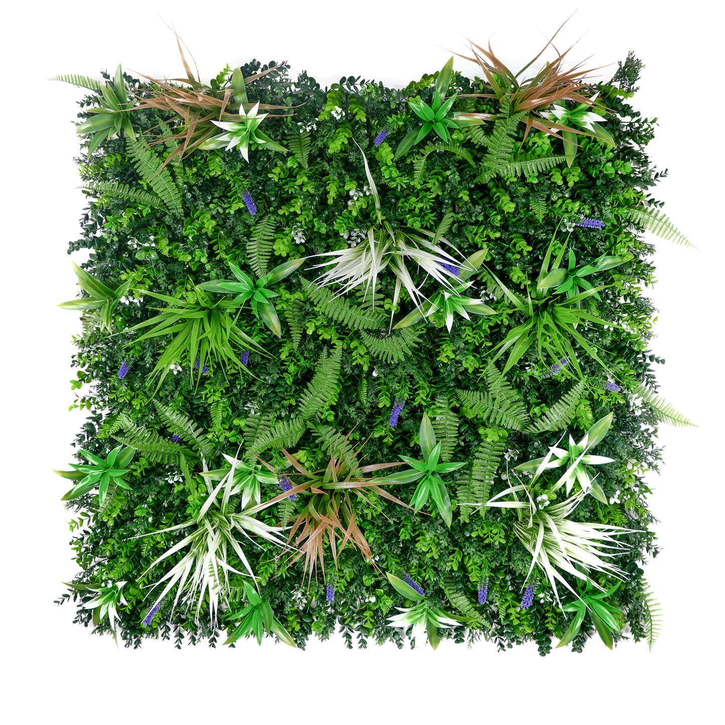 Wild Meadow Artificial Green Wall Panel - Mixed Ferns & Tropical Foliage