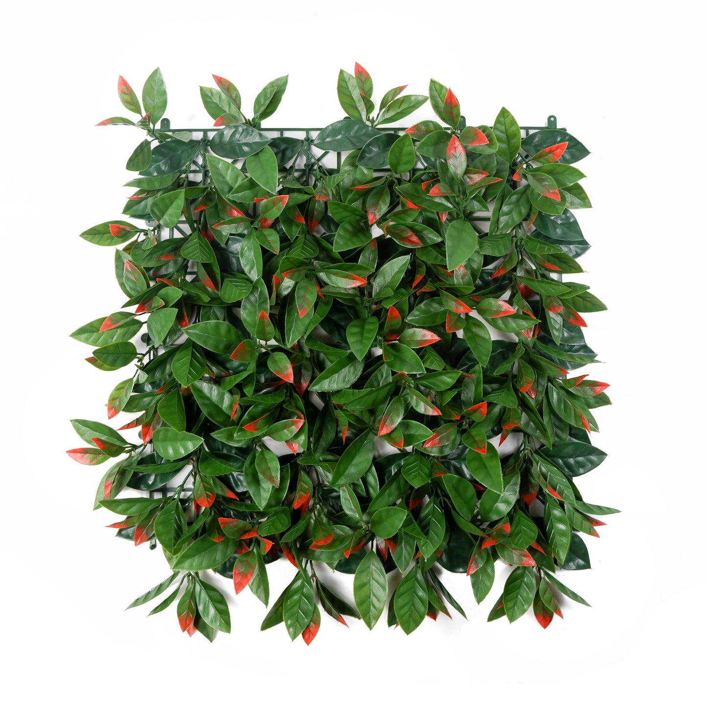 Red Tip Ficus Artificial Wall Panel – Deep Green Leaves with Crimson Highlights