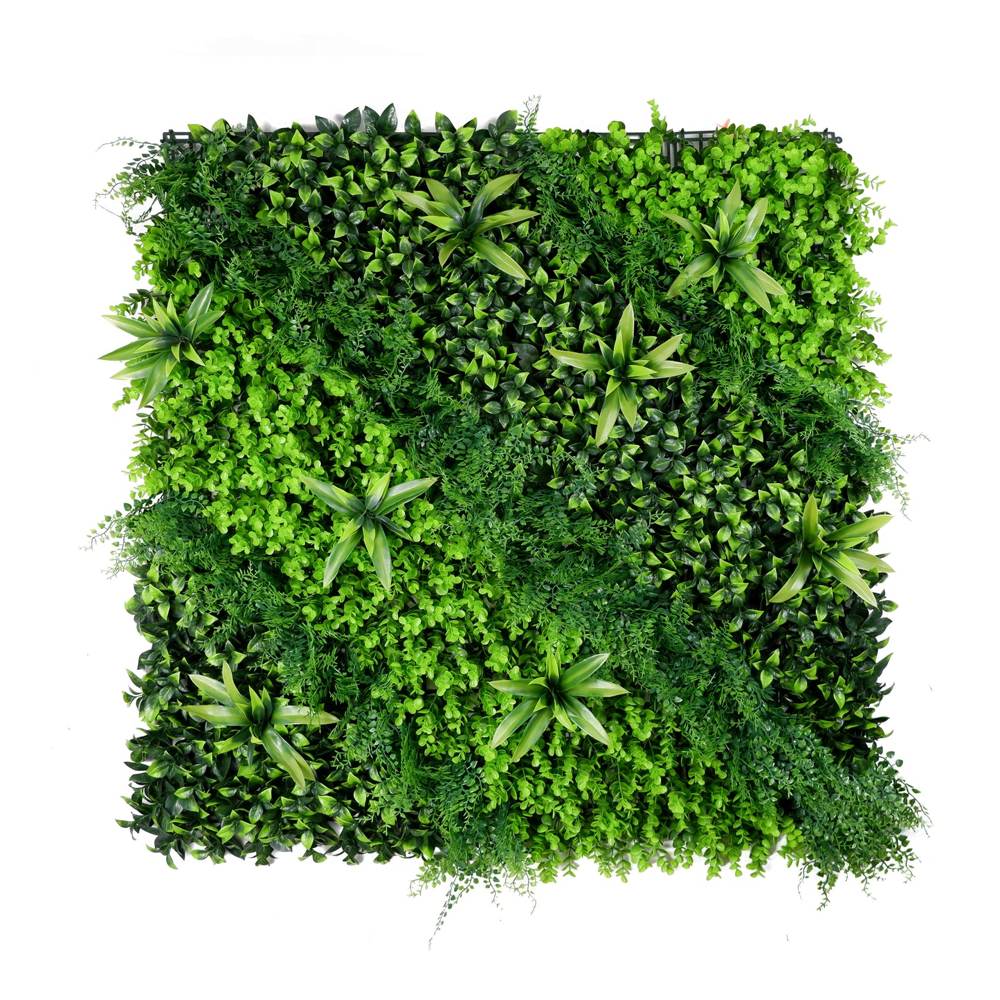 Twin Ivy Artificial Green Wall Panel – Variegated Leaf Highlights