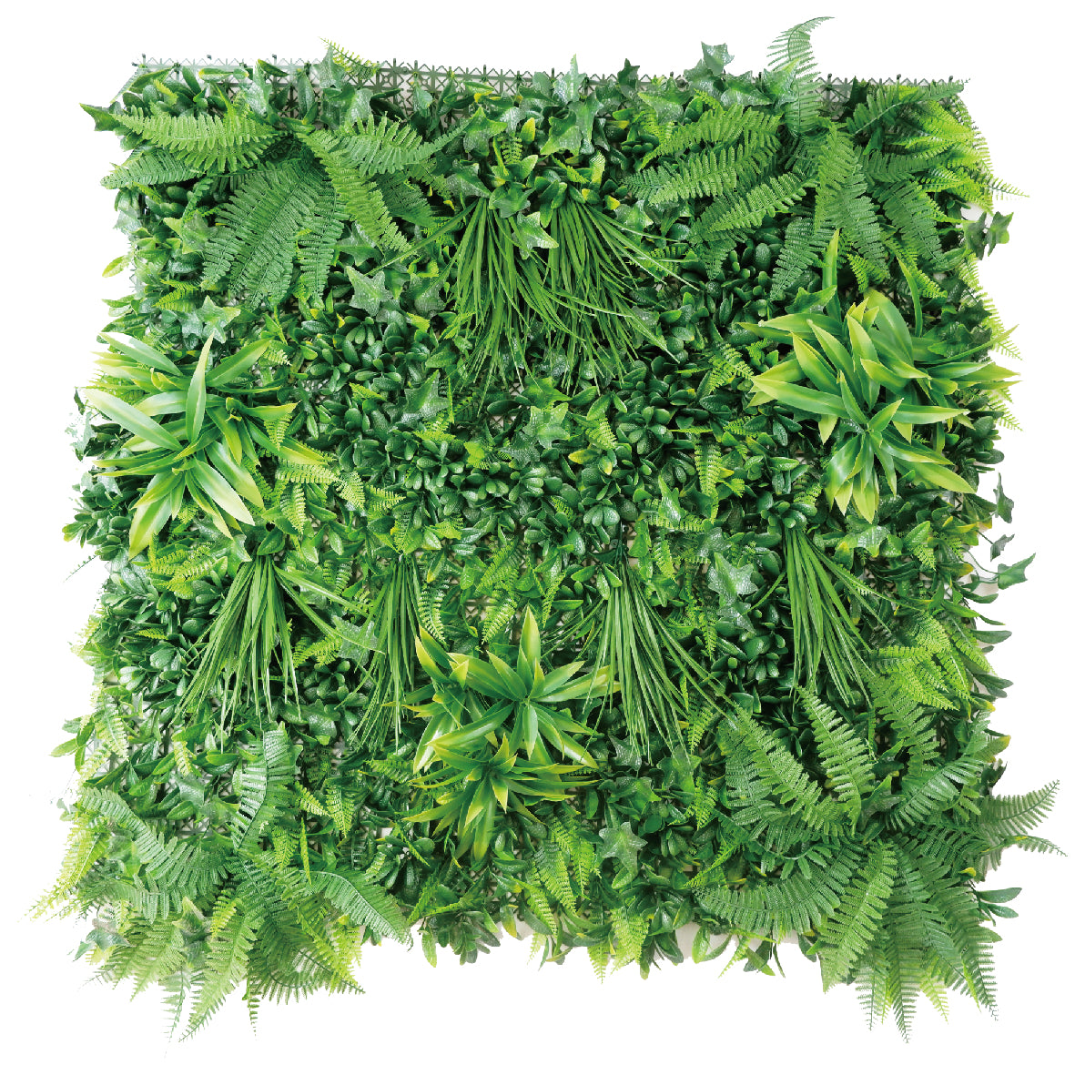 Evergreen Branch Artificial Green Wall Panel – Fresh Fern & Ivy Mix